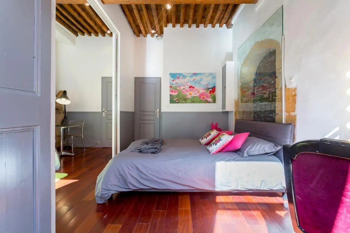 Le Duplex De Fourviere Apartment Lyon France